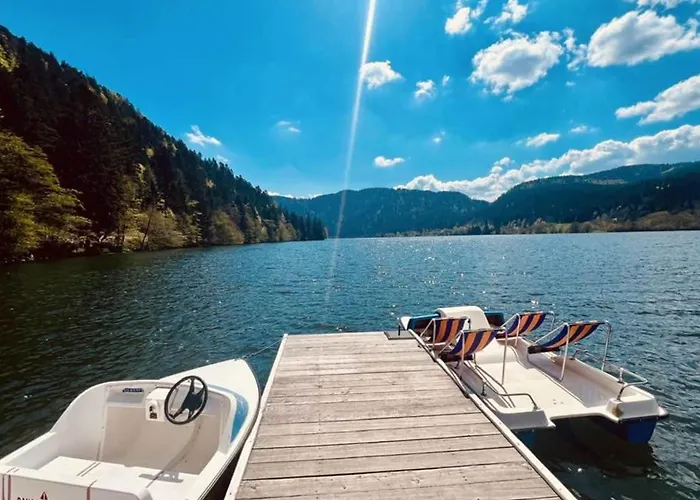 Luxury Full Center And Near Lake! * Gérardmer