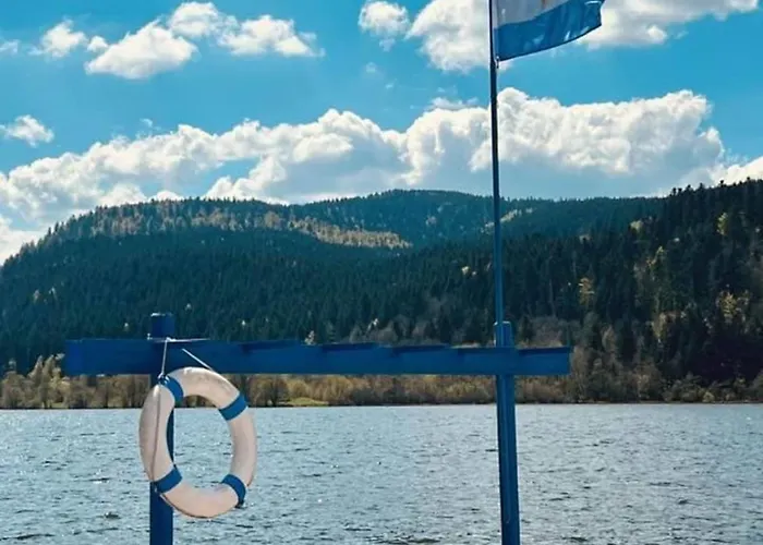 Luxury Full Center And Near Lake!