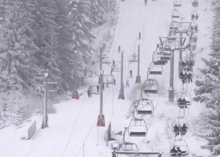 Luxury Full Center And Near Lake!